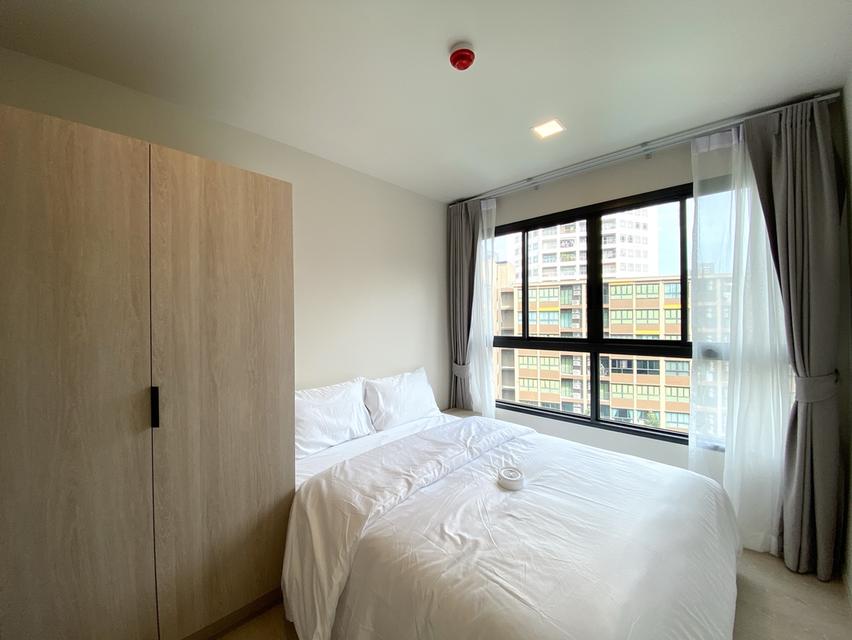 ปล่อยเช่า Dcondo Calm 10