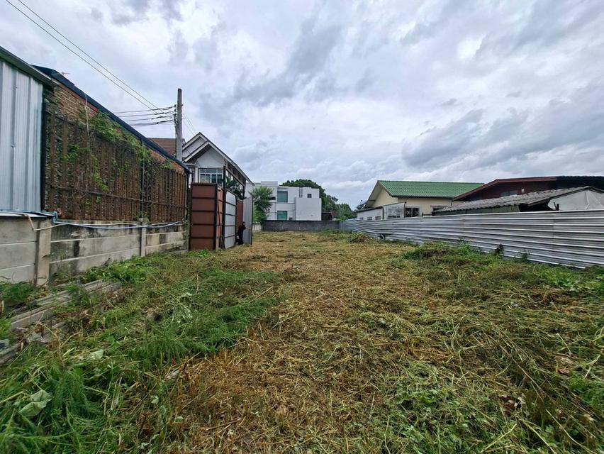 ขายที่ดิน 159 ตร.ว. สุขุมวิท 101 (ปุณณวิถี 52) ใกล้ BTS ปุณณวิถี เหมาะสำหรับสร้างบ้าน (N.2304) 5