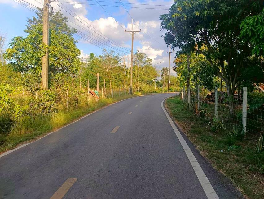 ขายที่ดินนนทรี 2 ไร่ ซอยโยธาธิการใกล้วิวเชาหลังเครือสหพัฒน์ ใกล้ถนนสุวรรณศร33-6กม. อ.กบินทร์บุรี ปราจีนบุรี 2