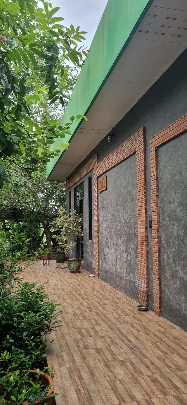 ต้องการขายบ้านที่ระยอง พิกัดบ้านเขาวังม่านสูงจากระดับน้ำทะเลปานกลาง 55 เมตร 8