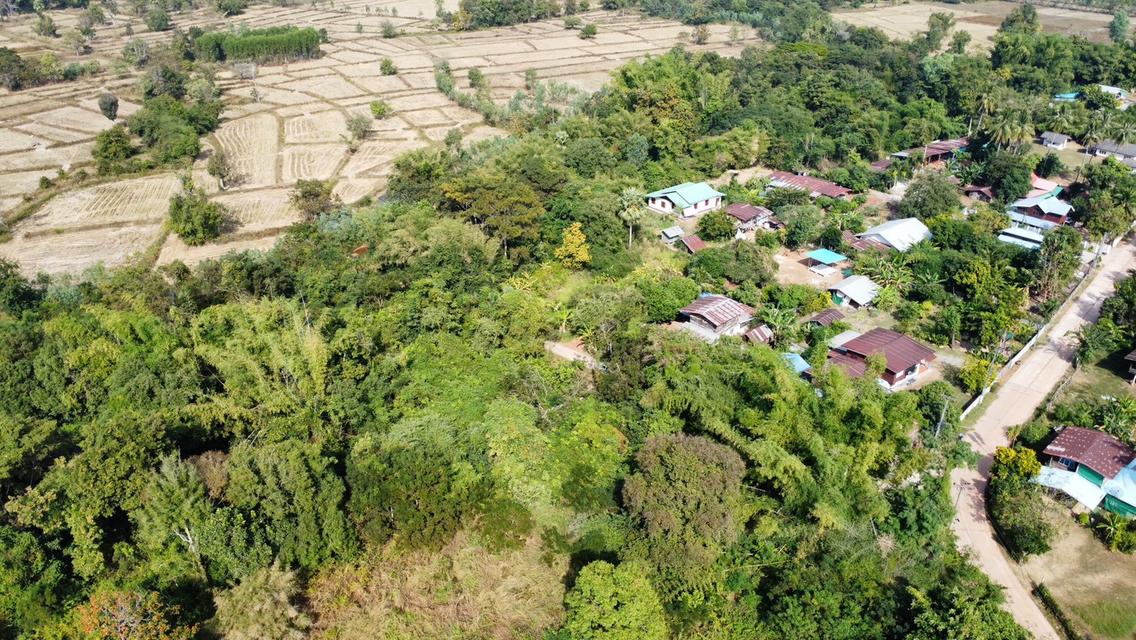 ขายด่วน ที่ดินเปล่า ติดถนนคอนกรีต อยู่ในชุมชน อุดรธานี (LSS-674) 3