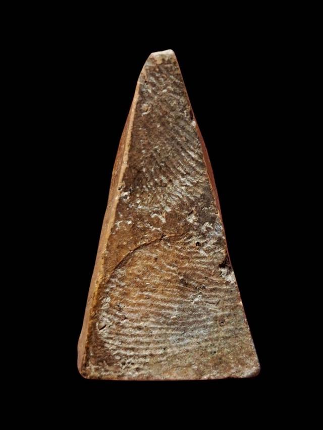 ผงสุพรรณ เปิดแบ่งปันค่ะ รูปที่ 3