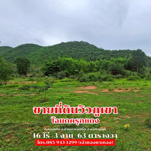 ขายที่ดิน 16 ไร่ 3 งาน 63 ตารางวา ติดถนนลาดยาง วิวภูเขา จ.กาญจนบุรี 30,000,000 บาท 5