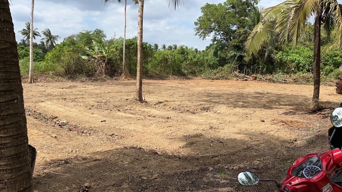 ขายที่ดินสุราษฎร์ธานี จำนวน 1 ไร่ ติดบึงขุนทะเล 4