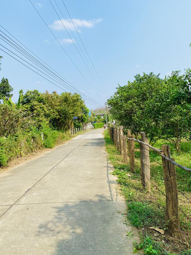 รูป Land for sale and rent Thoen District, Lampang Province ขาย/ ให้เช่าที่ดิน ที่ดินติดถนน ต.ล้อมแรด อ.เถิน จ.ลำปาง 4