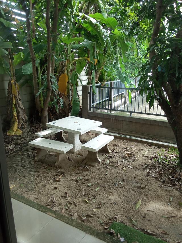 เช่าบ้านเดี่ยวในโครงการ 8