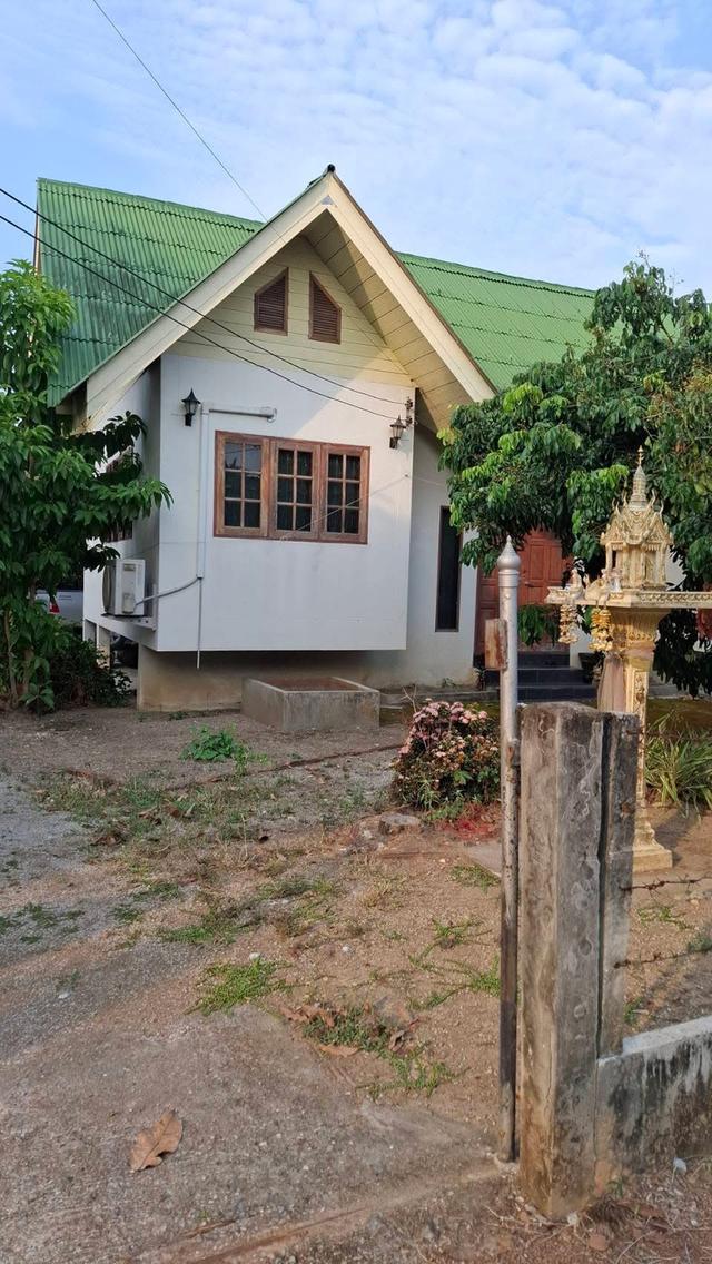 ขายที่ดินพร้อมบ้าน อ.เมือง จ.ลำพูน 1