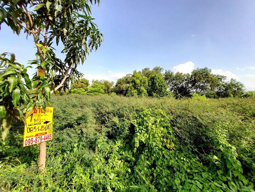 ที่พิน 2