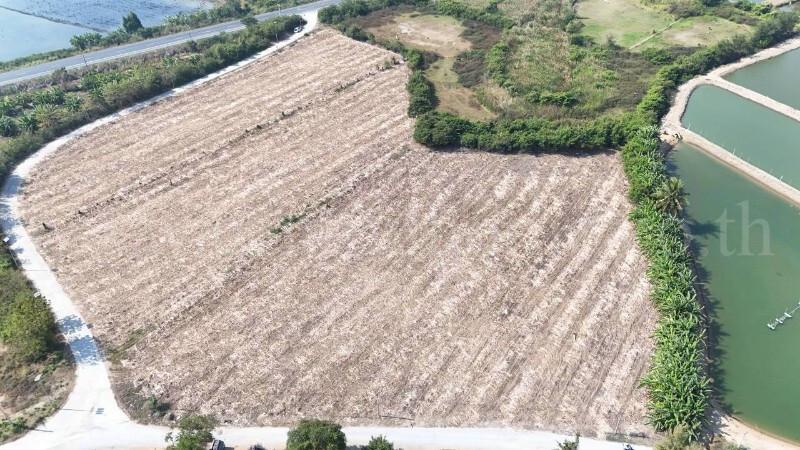 ที่ดินเปล่า ถมแล้ว 12-3-22 ไร่ ห้วยม่วง นครปฐม 6