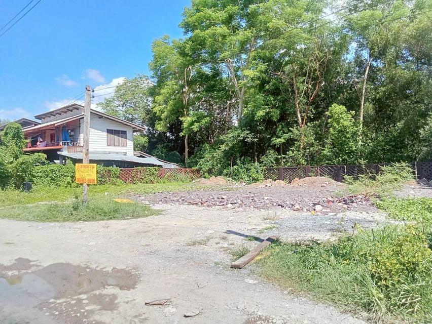 ขายที่ดินเปล่า ซอยคลองแอนคลองสาม คลองหลวง 4