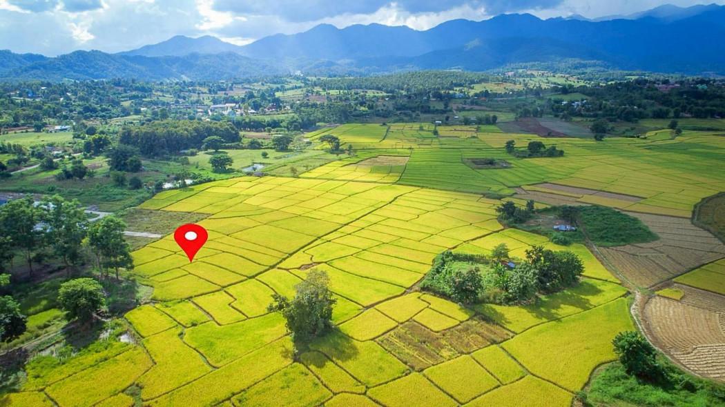 ขายที่ดิน ในโครงการชีวิตติดนา เฟส 2 ขนาด 73.9 ตร.ว. ใกล้ ถนนห้วยทราย-ใหม่