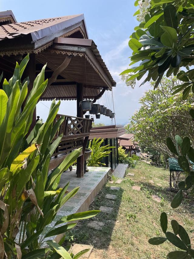 ขายที่ดินพร้อมสิ่งปลูกสร้าง จังหวัดเลย 4แปลง เนื้อที่ รวม 2ไร่ 91 ตรว 16