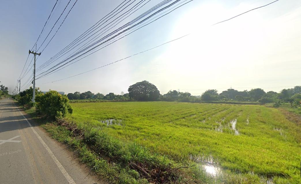 ที่ดิน 6ไร่ พื้นที่สีม่วงเข้ม หน้ากว้าง 85ม. ถนนลาดยางสาธารณะ ตำบล คูบางหลวง อำเภอลาดหลุมแก้ว ปทุมธานี   3