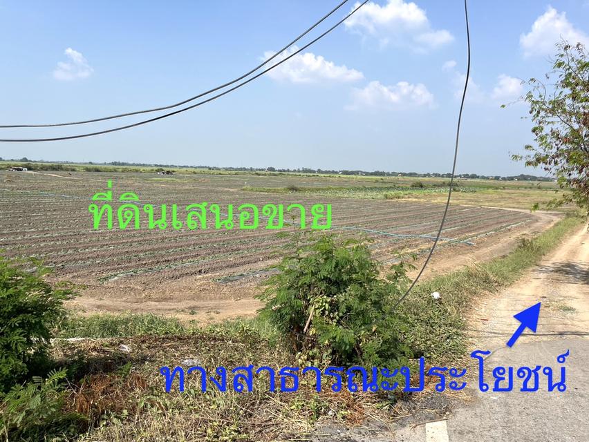 ขายที่ดินติดถนนสายอยุธยา อ่างทอง 083 610 6693 5