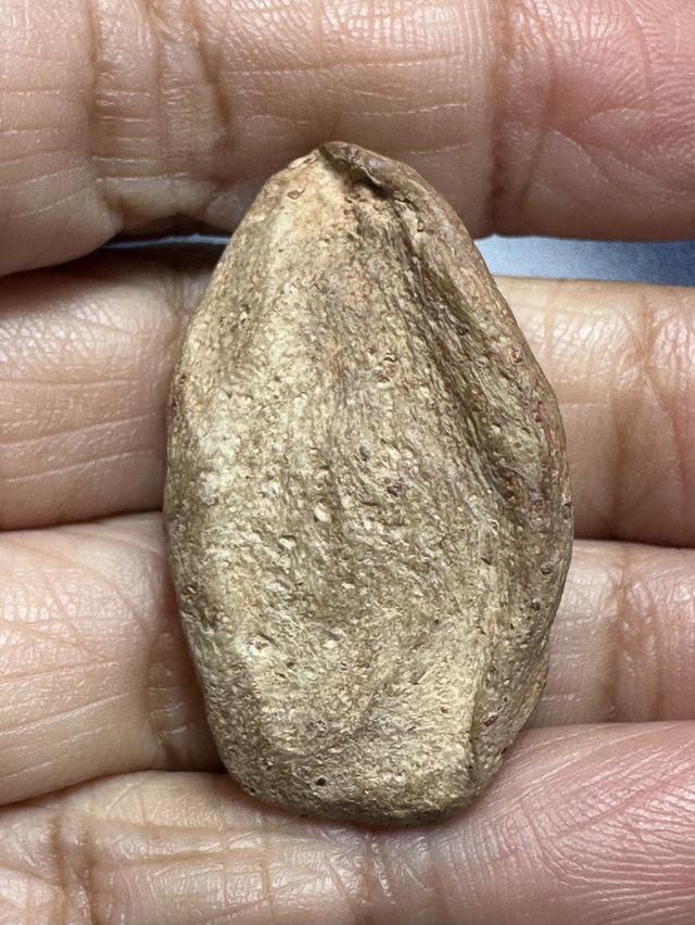 พระนางท่ามะปรางค์กรุวัดมหาธาตุ สุพรรณบุรี มีนวลดินเดิม