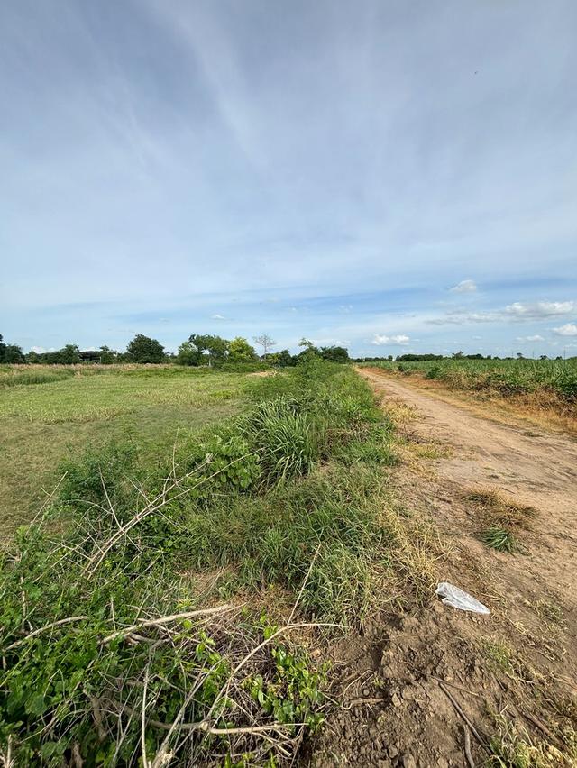 ✨ที่ดินว่างเปล่า 5 ไร่ รางพิกุล กำแพงแสน นครปฐม✨ 10