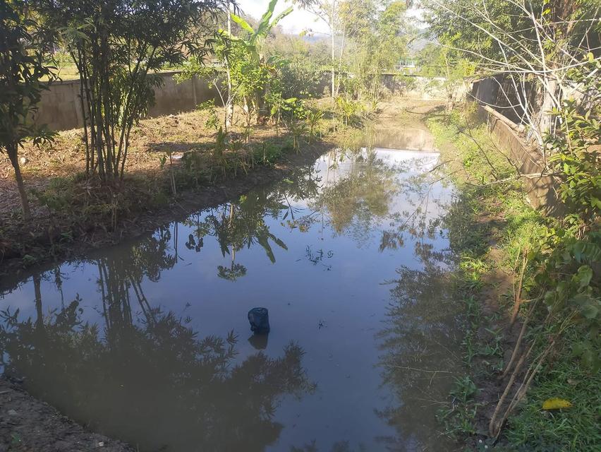 ขายบ้านพร้อมที่ดิน วิวสวย บรรยากาศดี 🌿 🏡 บ้าน 2 ชั้น บนไม้ ล่างปูน 📐 เนื้อที่ 1 ไร่ 1 งาน 💰 ราคา 3.49 ล้านบาท (ต่อรองได้) 📍 บ้านเหมืองลึก ต.โป่งแ 5