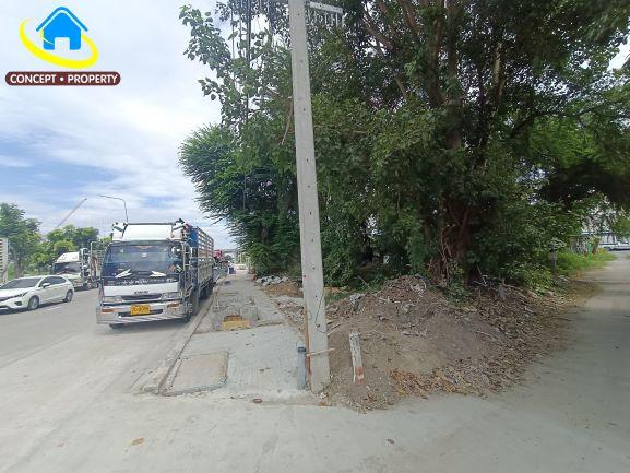 ขายที่ดิน 149 ตารางวา ติดถนนพุทธมณฑล สาย 1 เหมาะทำโชว์รูม ตลิ่งชัน 2