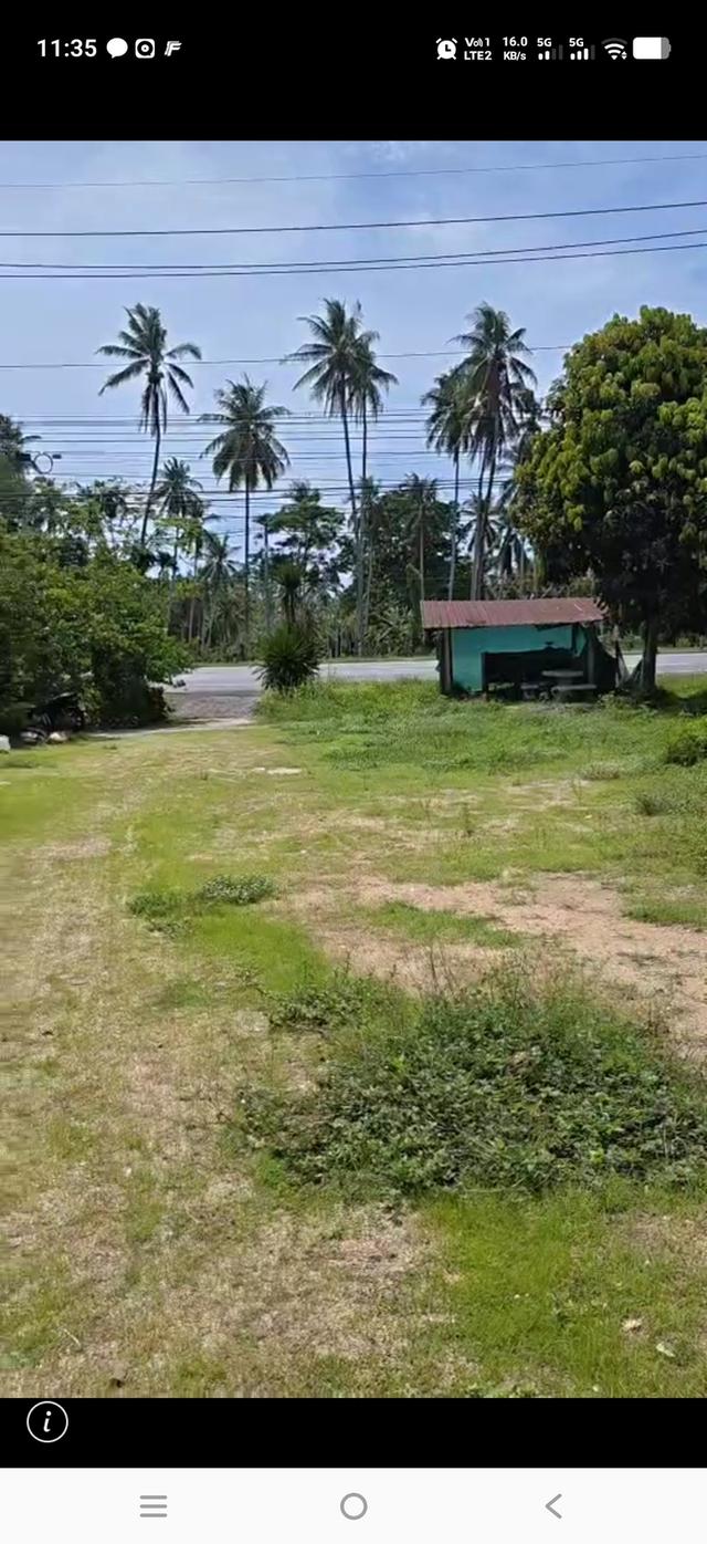 ขายที่ดินแปลงสวยติดริมถนน 1