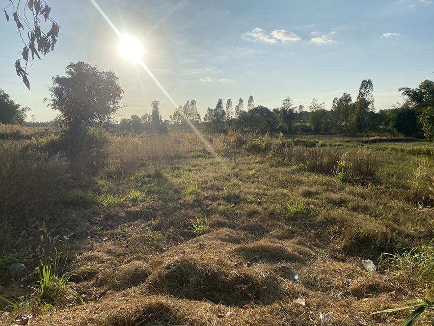 ที่ดิน11ไร่อยู่ถนน4เลนตัดใหม่กาฬสินธุ์-มุกดาหาร 12