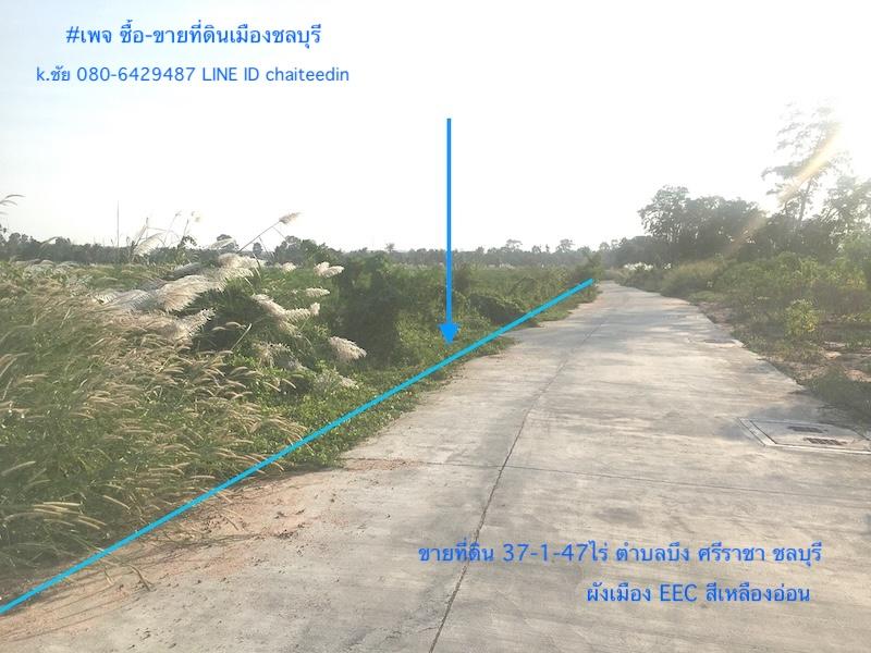 ขายที่ดินศรีราชา 37-1-47ไร่ ติดถนน 215เมตร ลึก 330เมตร ตำบลบึง ศรีราชา ชลบุรี ใกล้นิคมปิ่นทอง ใกล้ตลาดบึงวรกิจ ใกล้ถนนบายพาส ทล.3009 4
