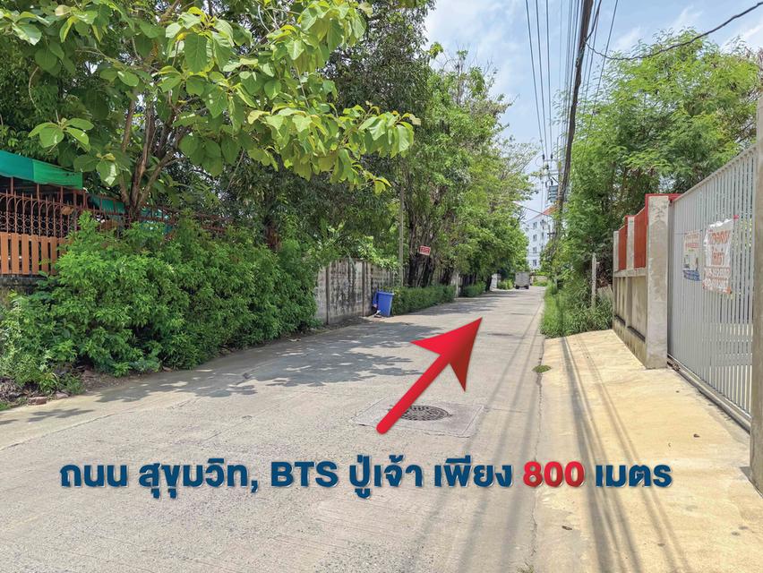 ที่ดิน ซอย สุขุมวิท 115 BTS ปู่เจ้า เทพารักษ์ สมุทรปราการ 13