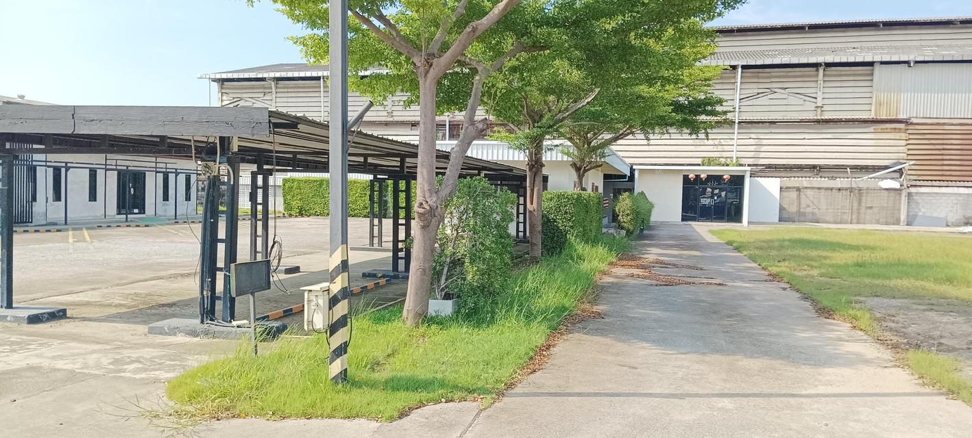 พื้นที่ให้เช่าพร้อมอาคารสำนักงานขนาด 3 ไร่ อ้อมใหญ่ สามพราน 6