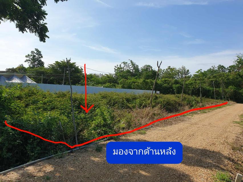 ขายด่วน!ที่ดิน อำเภอเมืองนครปฐม