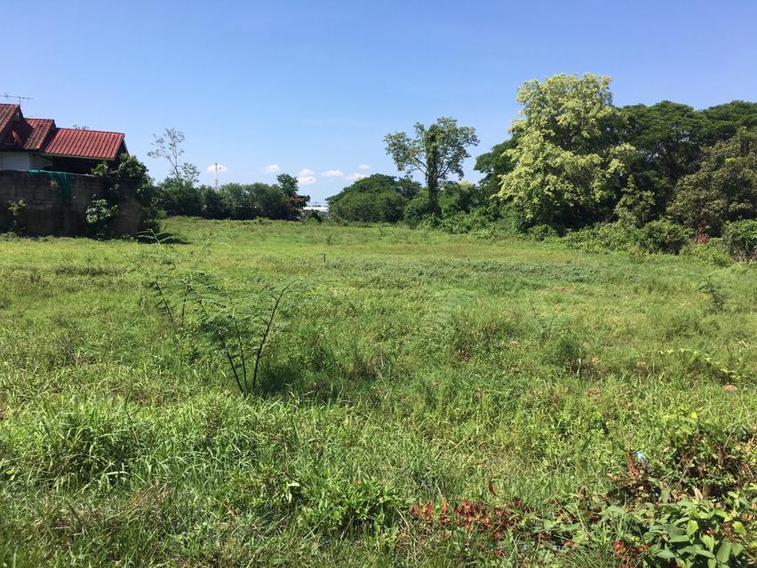 ขายที่ดินถมแล้ว 60 ไร่ เจ้าเดียว ทำเลทองฝังเพชร หน้าติดพหลโยธิน(๑) 106 เมตร ถนนสายกรุงเทพ-ลำปาง-เชียงใหม่-เชียงราย เหนือ