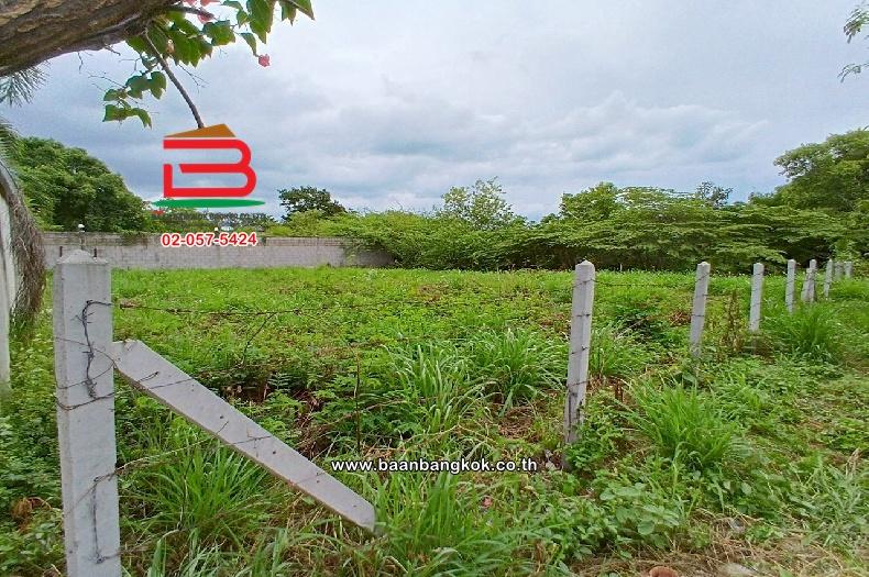 ที่ดินเปล่า ซอยหัวหิน 25 เนื้อที่ 146 ตร.ว (ใกล้ท่าอากาศยานหัวหิน) ตำบลหัวหิน อำเภอหัวหิน จังหวัดประจวบคีรีขันธ์ 4