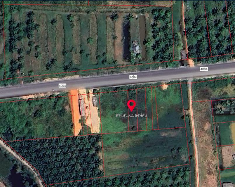 ขายที่ดินทำเลทอง ติดถนนหลัก ราคาสุดคุ้ม อนาคตไกล!  5