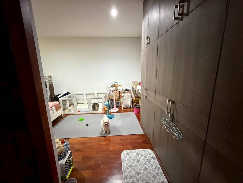 บ้านเดี่ยว2ชั้นในหมู่บ้านหรู 6นอน 5น้ำ 2จอด 9