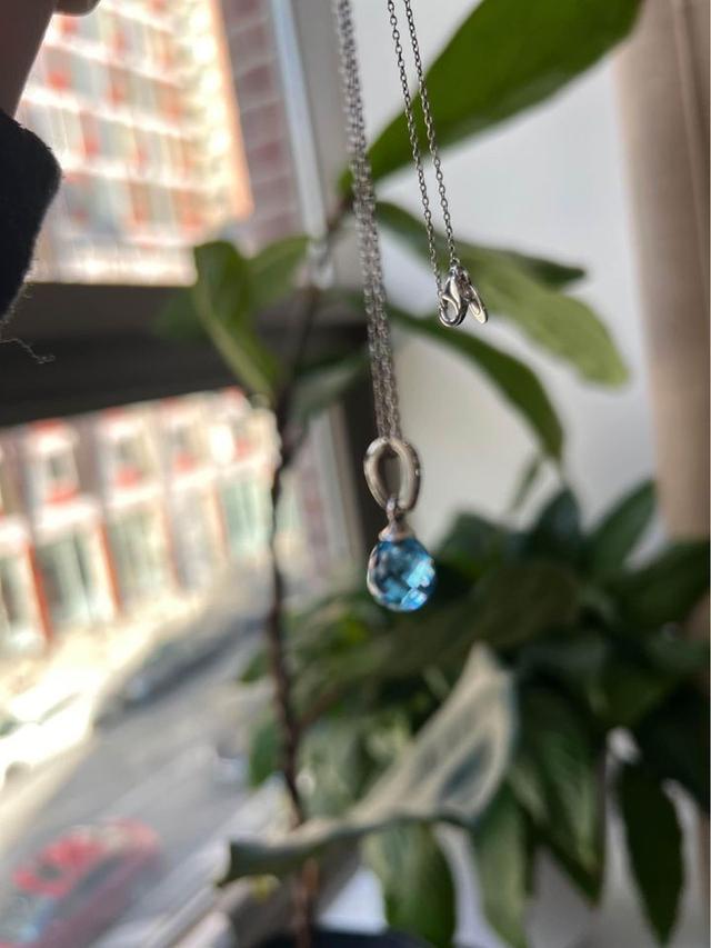 Pandora Necklace 3