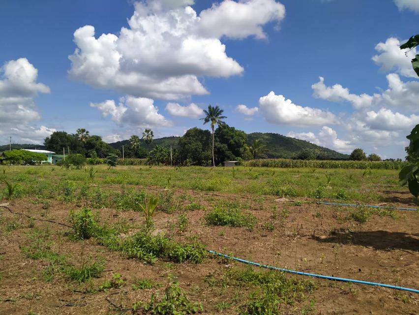 ขายที่ดิน 2 ไร่ (ขายขาดทุน) 5