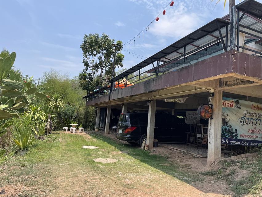 ขายที่ดินพร้อมสิ่งปลูกสร้าง จังหวัดเลย 4แปลง เนื้อที่ รวม 2ไร่ 91 ตรว 19