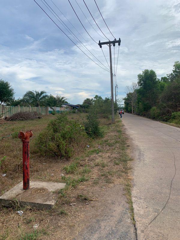 ขายที่ดินเปล่า ทำเลดี อำเภอกาญจนดิษฐ์ จังหวัดสุราษฎร์ธานี 12