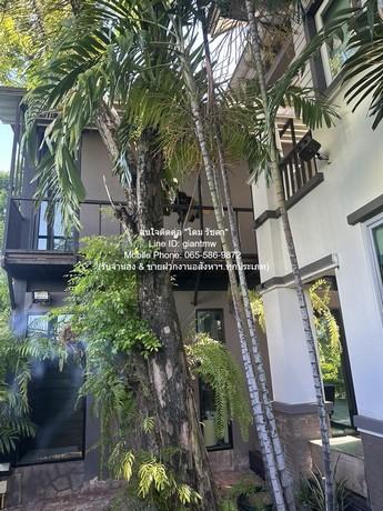 Sale บ้าน ขายบ้านเดี่ยวหรู 2 ชั้น (3 หลัง) ถ.พัฒนาการ 136.9 ตร.ว. 5 น 5 น้ำ 4 จอดรถ (ห่าง ซ.ทองหล่อ 10 นาที), ราคา 54 ล้ 3