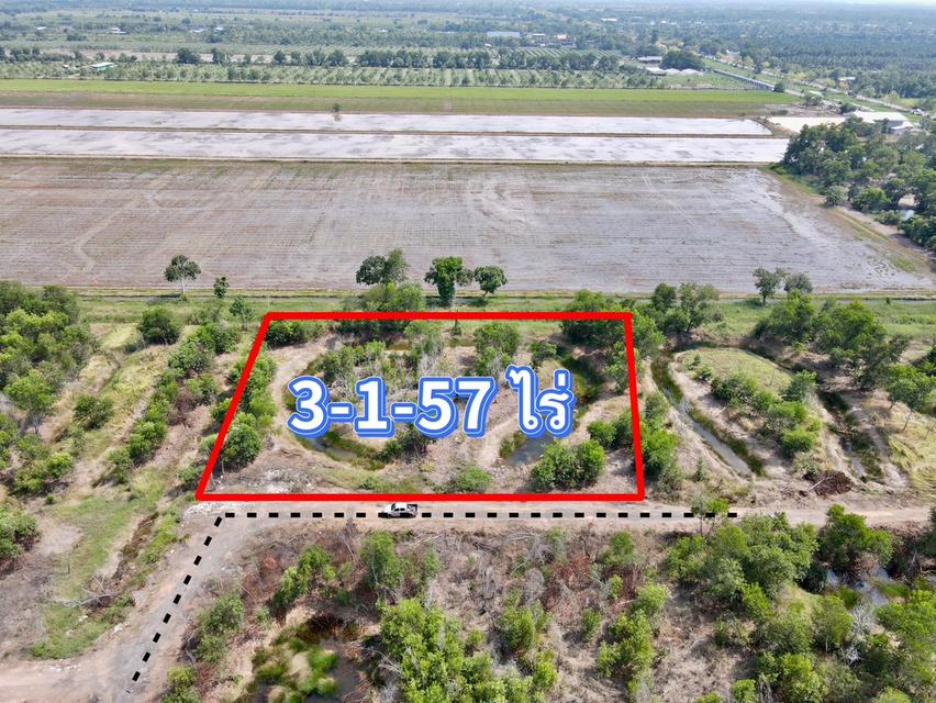 ขายที่ดินนพรัตน์ 3 ไร่ คลอง11 เข้าซอยจากถนนใหญ่3022-200เมตร อ.หนองเสือ ปทุมธานี 1