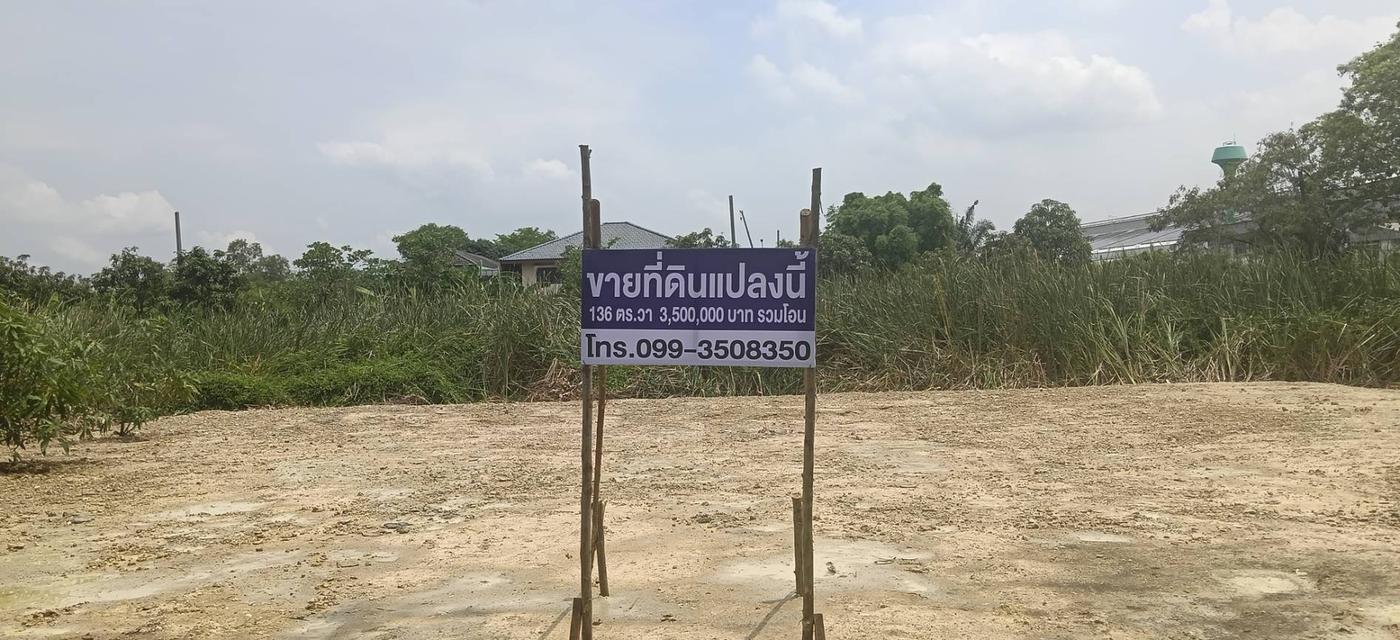 ที่ดินเปล่า 136 ตารางวา พุทธมณฑลสาย 3 กรุงเทพมหานคร 6