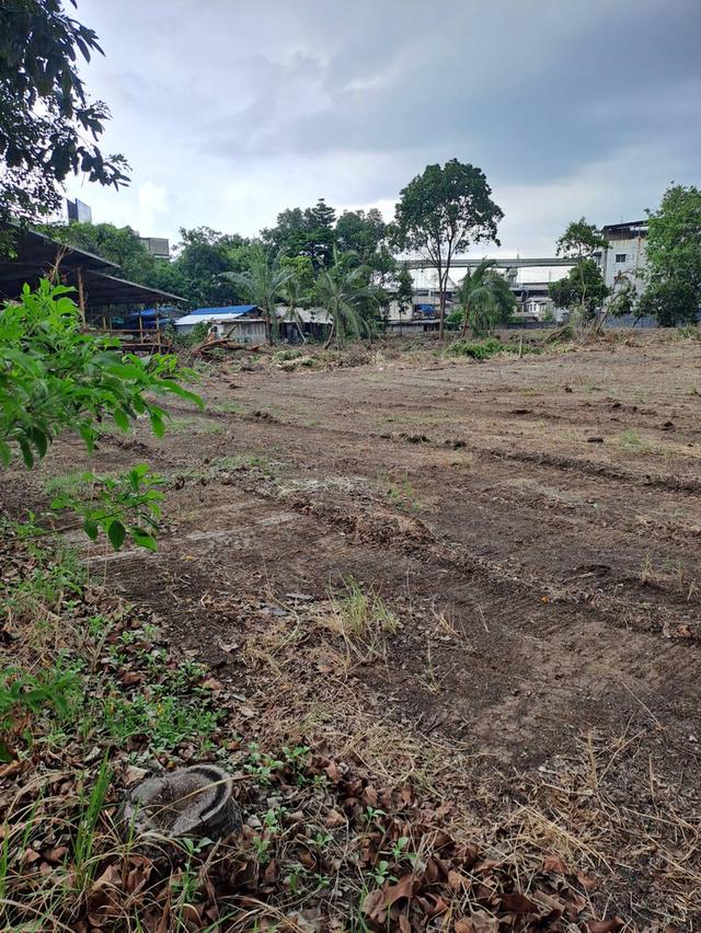 ขายที่ดินเปล่าทำเลทอง รามอินทรา กม.8 4