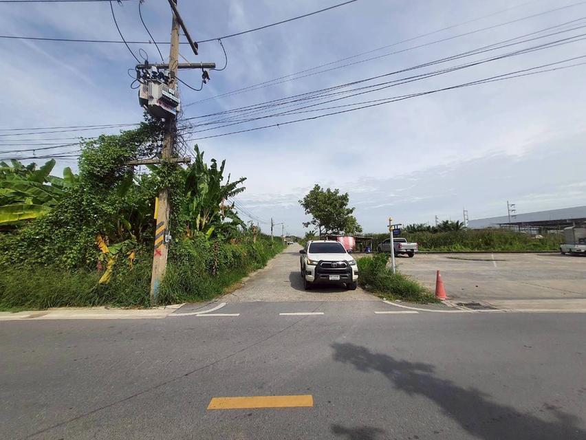 ร้อนเงินVายถูก ที่ดินบ้านกลาง 244 ตารางวา ติดถนนคอนกรีตสาธารณะ ซอย โม่ฮวด 7 เมืองปทุมธานี 6