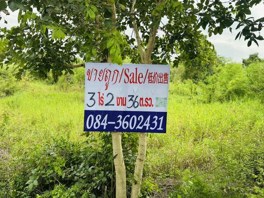 ขายที่ดิน อ. ท่าเรือ อยุธยา (ไร่ละ 1 ล้าน) 3