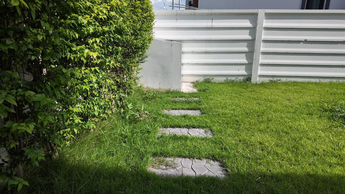 บ้านเดี่ยวชั้นเดียว สไตล์เทมโพรารี่ เรียบหรู 12