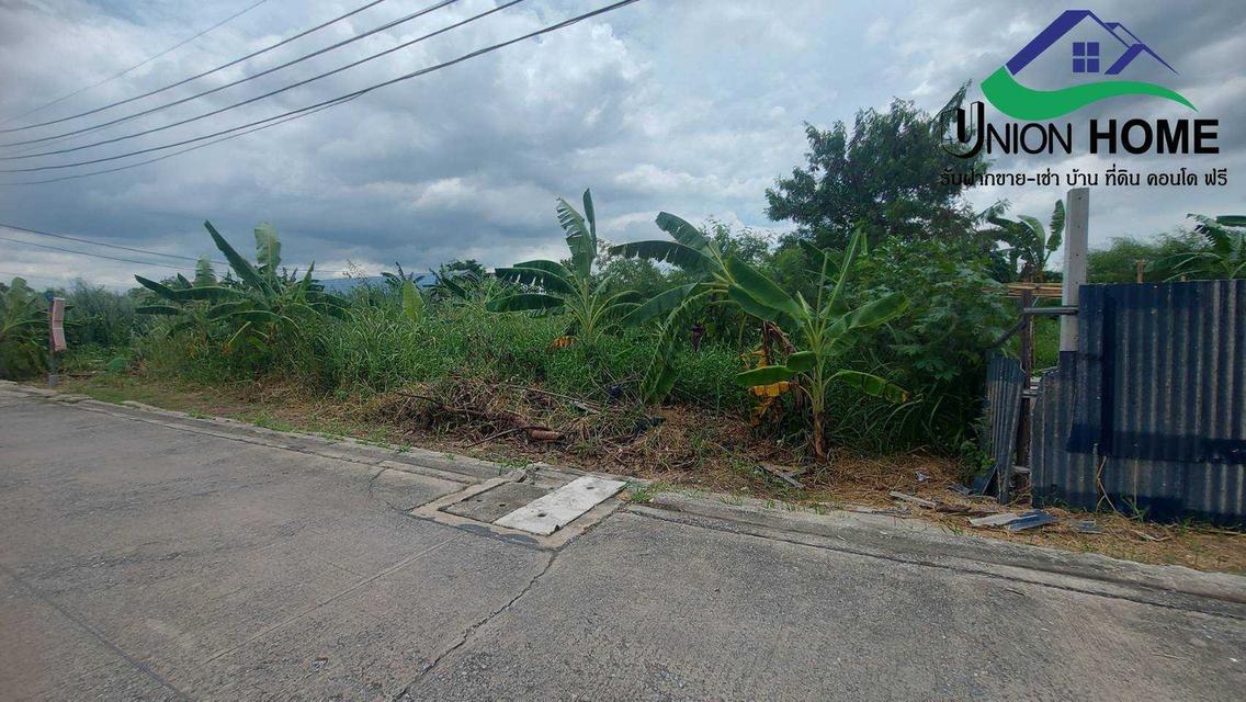 ขายที่ดินเปล่าถมแล้ว ถนนรังสิต-นครนายก 33 คลอง 2 ธัญบุรี (N.1879) 4