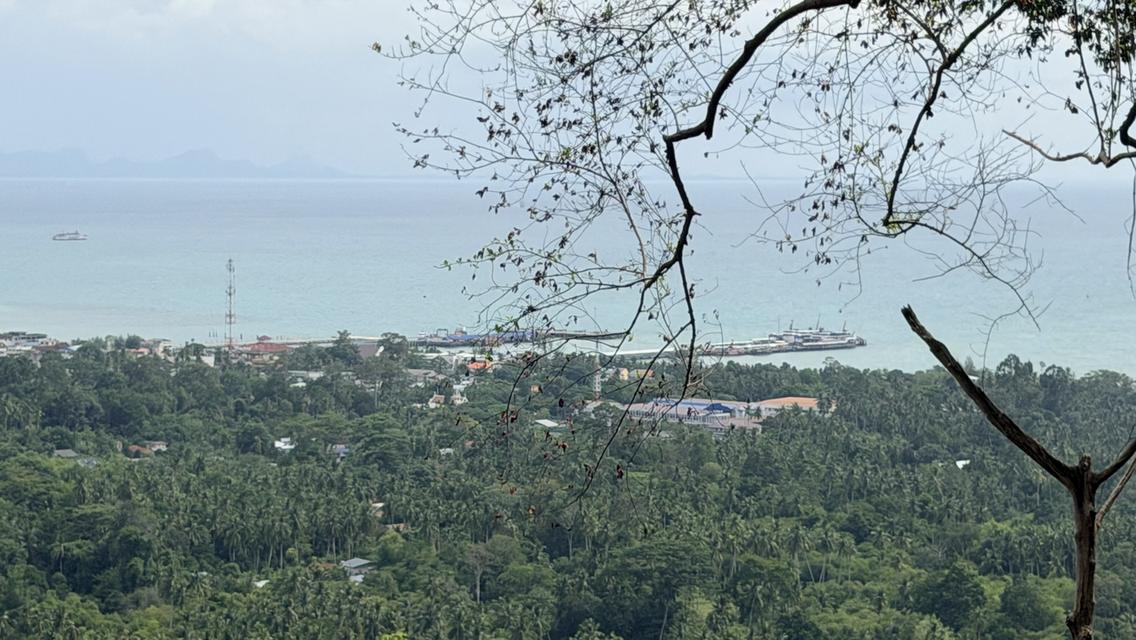 Prime Sunset & Sea View Land for Sale in Koh Samui – A Rare Investment Opportunity! 2