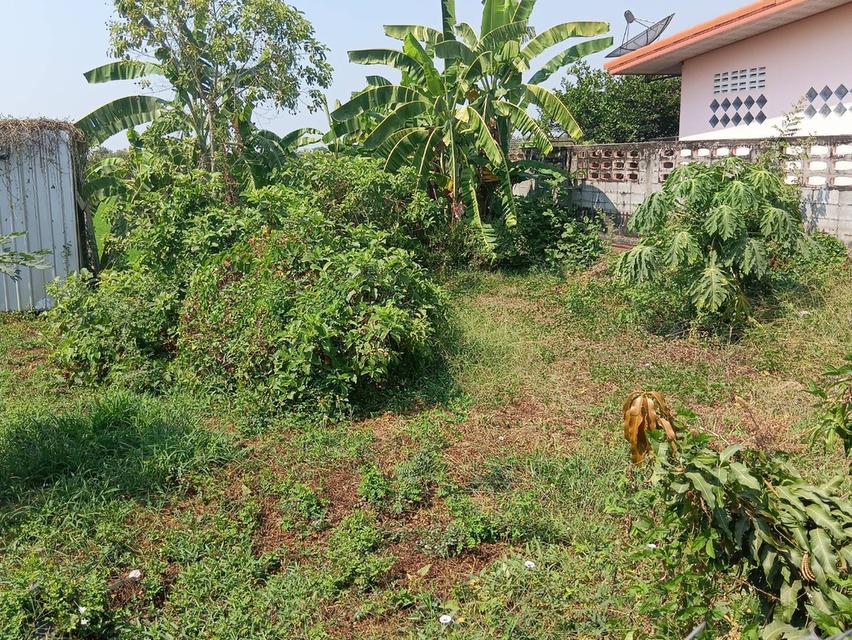 ขายบ้านพร้อมที่ดิน 100ตารางวา 16