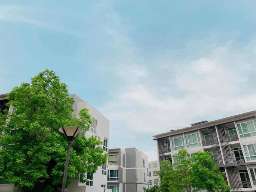 ขายคอนโด 2ห้องนอน  คาซ่า แอท มช หลัง มหาวิทยาลัยเชียงใหม่ 8