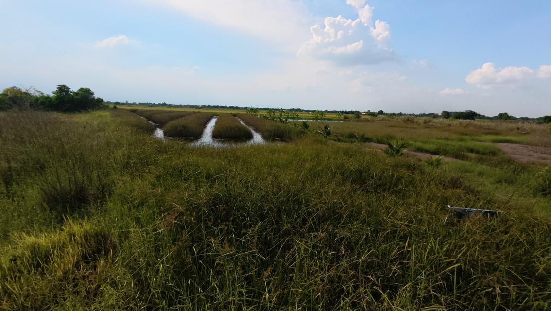 ที่ดินเปล่า ถมแล้ว ถนนคลองหลวง ต.คลองหก อ.คลองหลวง จ.ปทุมธานี 3