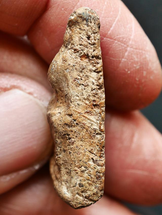 พระนางพญาพิษณุโลก  พิมพ์เข่าโค้ง....เก่า เดิมๆ สวยแชมป์ 12