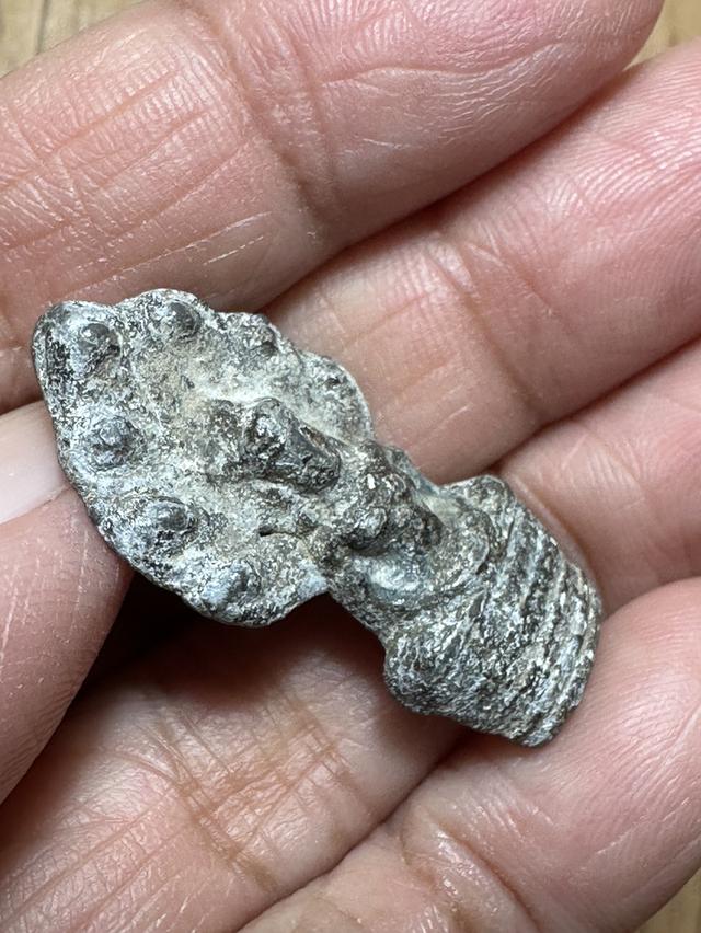 🙏พระคงลำพูน🙏พระกรุเนื้อชิน องค์ละ 800 รูปที่ 13